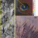 Illustration for article titled Scientists find evidence of liquid water on the surface of Mars